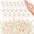 24 Pcs Starfish for Crafts, 2'' to 4'' Star Fish Shells Decorations, Natural Starfish Decor Bulk for Beach Theme DIY Crafts Christmas Tree Ornaments