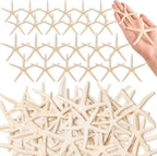 24 Pcs Starfish for Crafts, 2'' to 4'' Star Fish Shells Decorations, Natural Starfish Decor Bulk for Beach Theme DIY Crafts Christmas Tree Ornaments