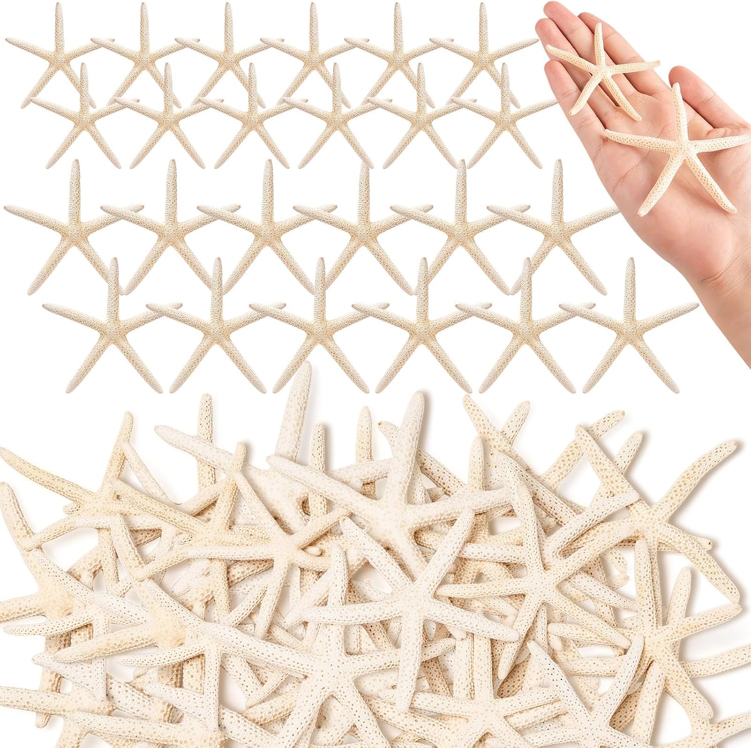 24 Pcs Starfish for Crafts, 2'' to 4'' Star Fish Shells Decorations, Natural Starfish Decor Bulk for Beach Theme DIY Crafts Christmas Tree Ornaments