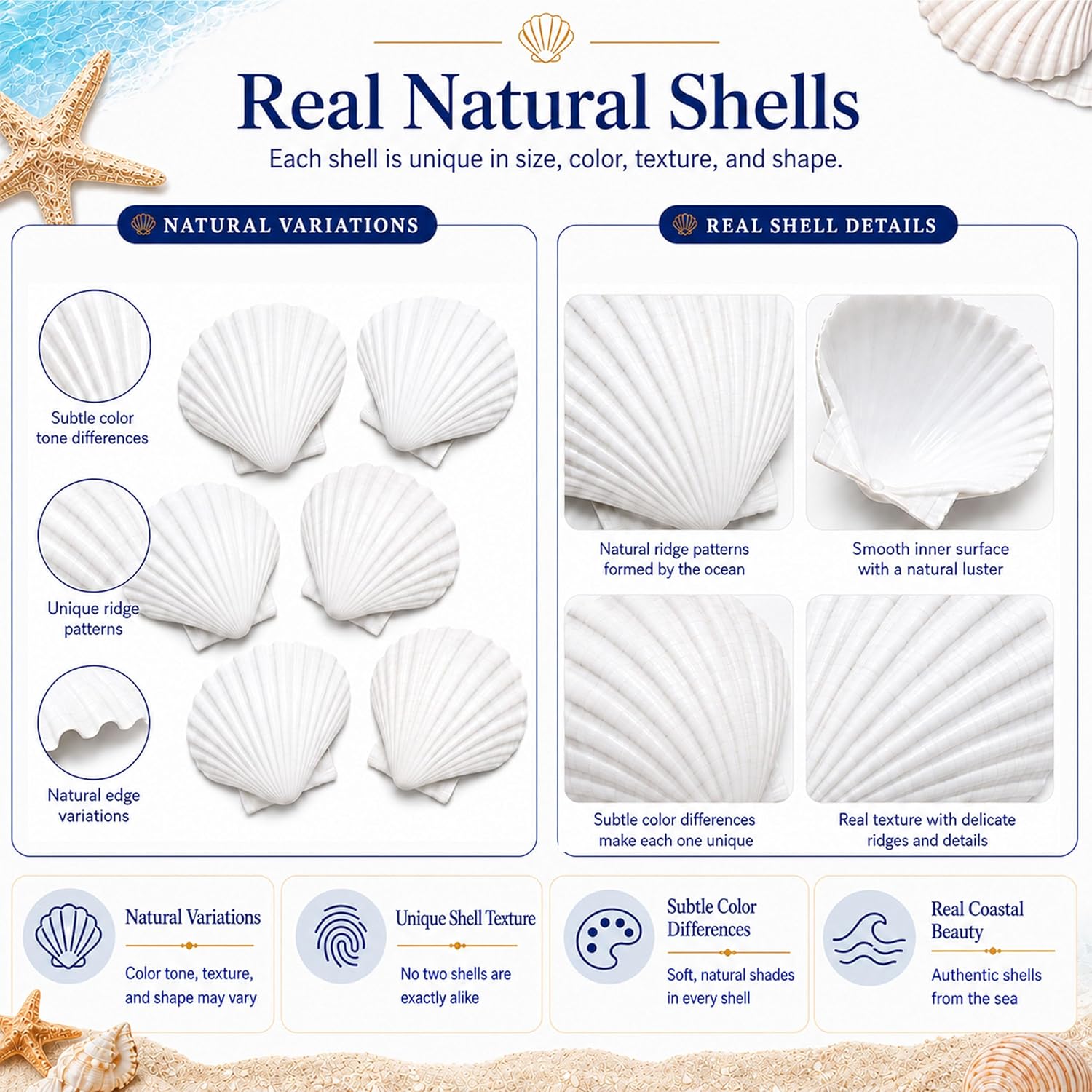 Cizavanta 50 Pack Large Scallop Shells for Crafts, 4-5 Inch Natural White Scallop Shells with 25 Clear Display Stands and Round Craft Mat, Seashells for DIY Painting, Decoupage & Coastal Decor