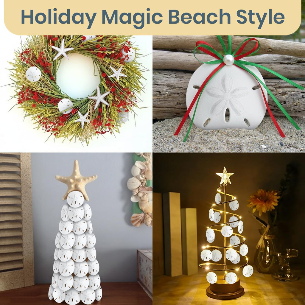 Real Sand Dollars 1.5" to 2" (30 Pack) – Sand Dollar Wall Art & Ornament Set – Beach Wedding Decor – Nautical Party Table Decor – Mini Shells for Crafts – Coastal Gifts