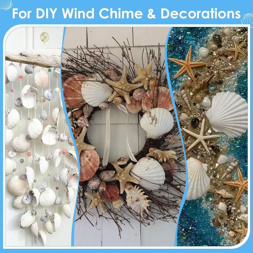 60PCS Large Scallop Shells for Crafts 4-4.3 inch Clam Shells for Decoupage Beach Natural White Seashells Bulk from Sea Beach for DIY Crafts Decorating Painting Crafting Home Wedding Decor