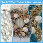 60PCS Large Scallop Shells for Crafts 4-4.3 inch Clam Shells for Decoupage Beach Natural White Seashells Bulk from Sea Beach for DIY Crafts Decorating Painting Crafting Home Wedding Decor