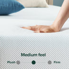 Zinus 10 Inch Green Tea Cooling Memory Foam Mattress [New Version], Queen, Fiberglass Free, Medium Firmness, Cooling Gel Foam, Certified Safe Foams & Fabric, Mattress in A Box