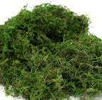 USMOLA Artificial Moss, 16OZ Fake Moss for Crafts Table Centerpieces Fairy Garden Wedding Party Decor, Faux Grass for Potted Plants, 455gr (Fresh Green)