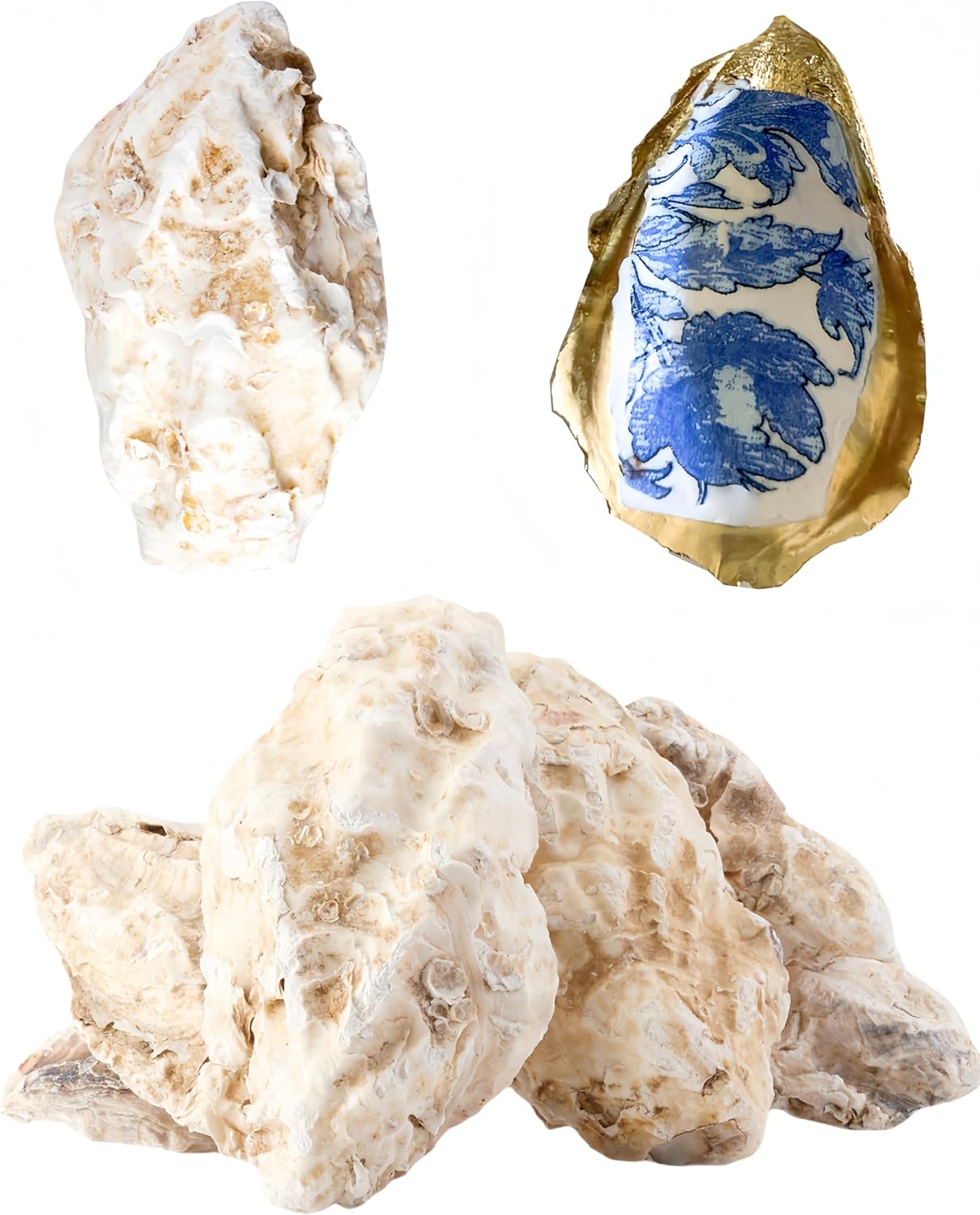 10Pcs Extra Large Oyster Shells for Crafts （ 5"-6"）, Oyster Shell for Crafting、Painting、Wedding、Christmas、Beach Theme Decor， and Clean、Odor-Free Sea Shells for Crafting