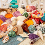 Sea Shell Mixed Ocean Shells Set, 15 Kinds 1.2"-2.7" Various Sizes Natural Seashell & Starfish for Beach Themed Decor, DIY Crafts, Vase Fillers, Fish Tank, Home, Wedding and Party Decoration