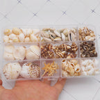 yaokan 10 Styles Natural Sea Shells & Starfish Set - Assorted Pre-Drilled Beach Seashells for DIY Crafts, Home Decor, Jewelry Making & Wedding Party Decorations