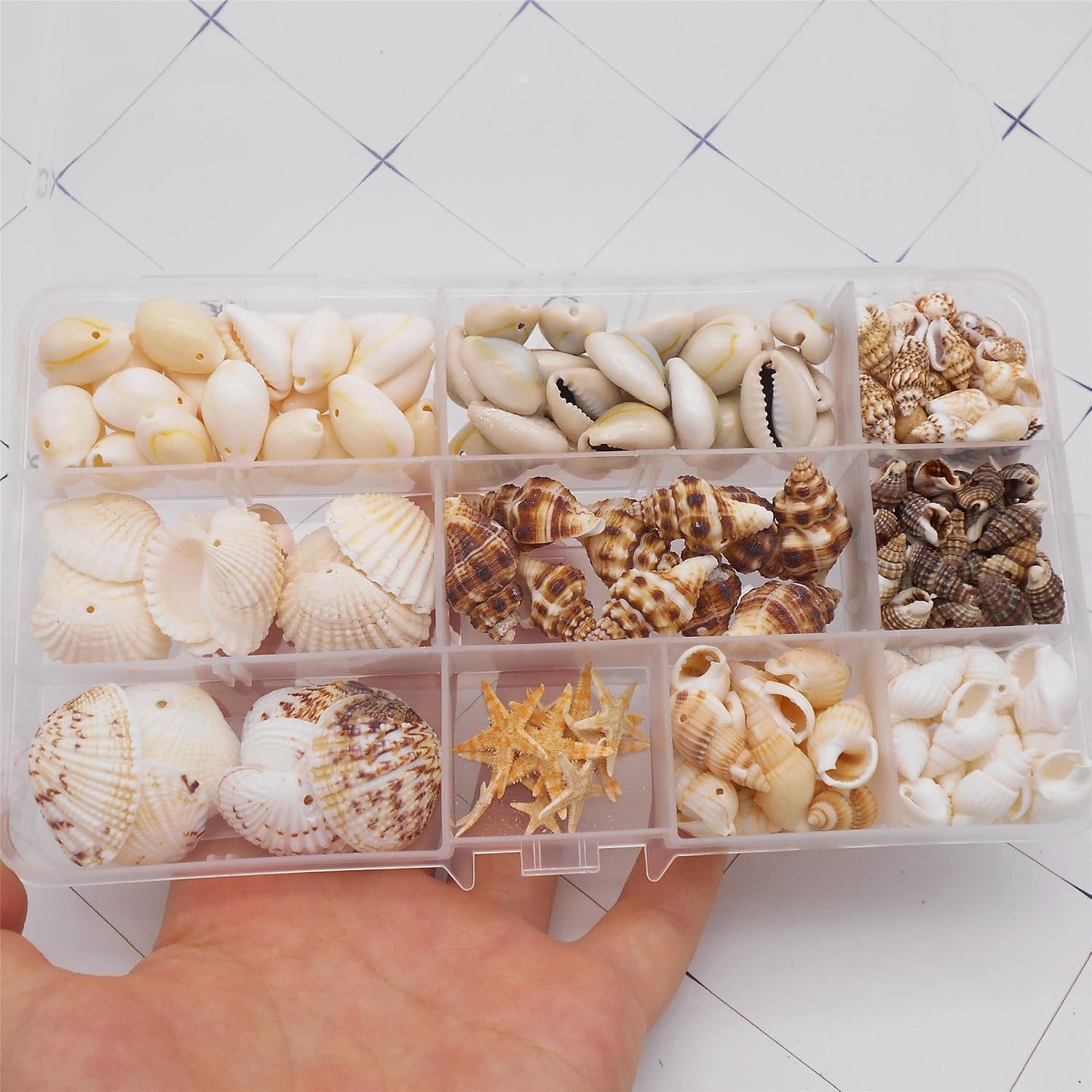 yaokan 10 Styles Natural Sea Shells & Starfish Set - Assorted Pre-Drilled Beach Seashells for DIY Crafts, Home Decor, Jewelry Making & Wedding Party Decorations