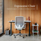 Branch Ergonomic Chair - A Versatile Desk Chair with Adjustable Lumbar Support, Breathable Mesh Backrest, and Smooth Wheels - Experience Optimal Comfort and Support - All Black