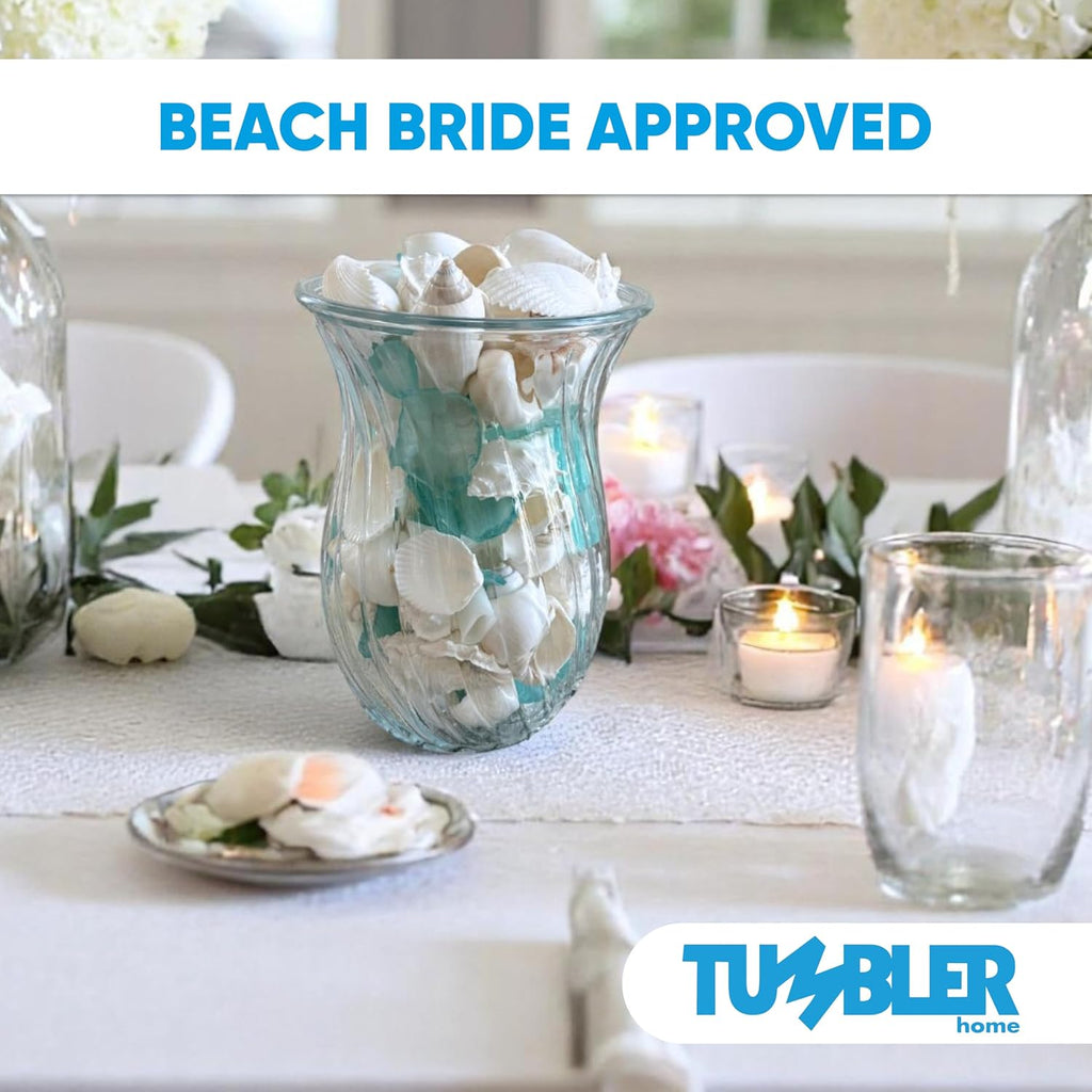 Tumbler Home White Sea Shell Mix with Aqua Sea Glass | Set Contains 1.5 lbs of Seashells and Seaglass | Beach Decor, Crafts, Wedding, Vase Filler