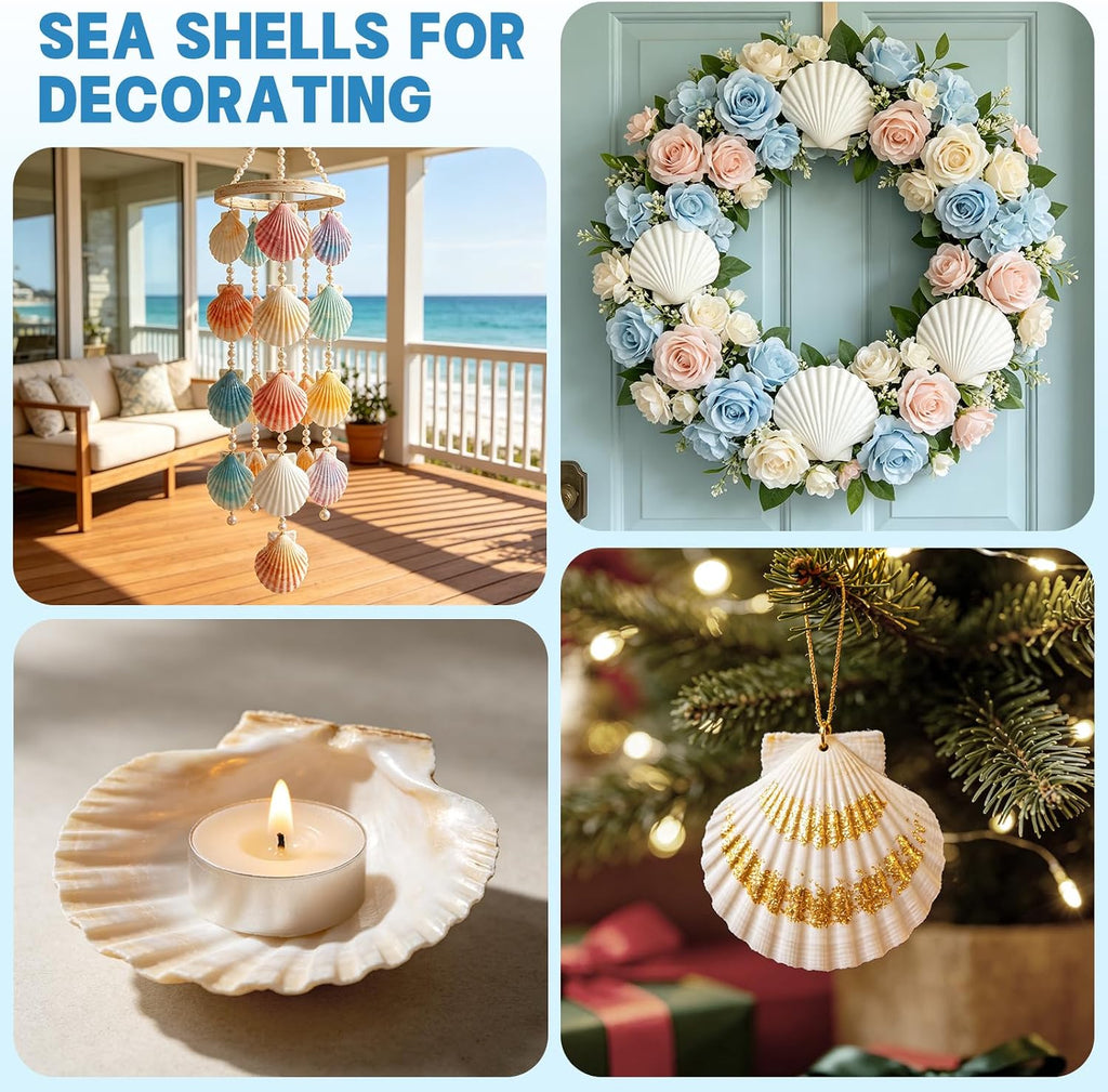 20 PCS Natural Scallop Shells for Crafts, 3-4 inches White Seashells for DIY Painting, Decoupage, Beach Wedding & Home Decor, Bulk Scallop Shells 8-10cm