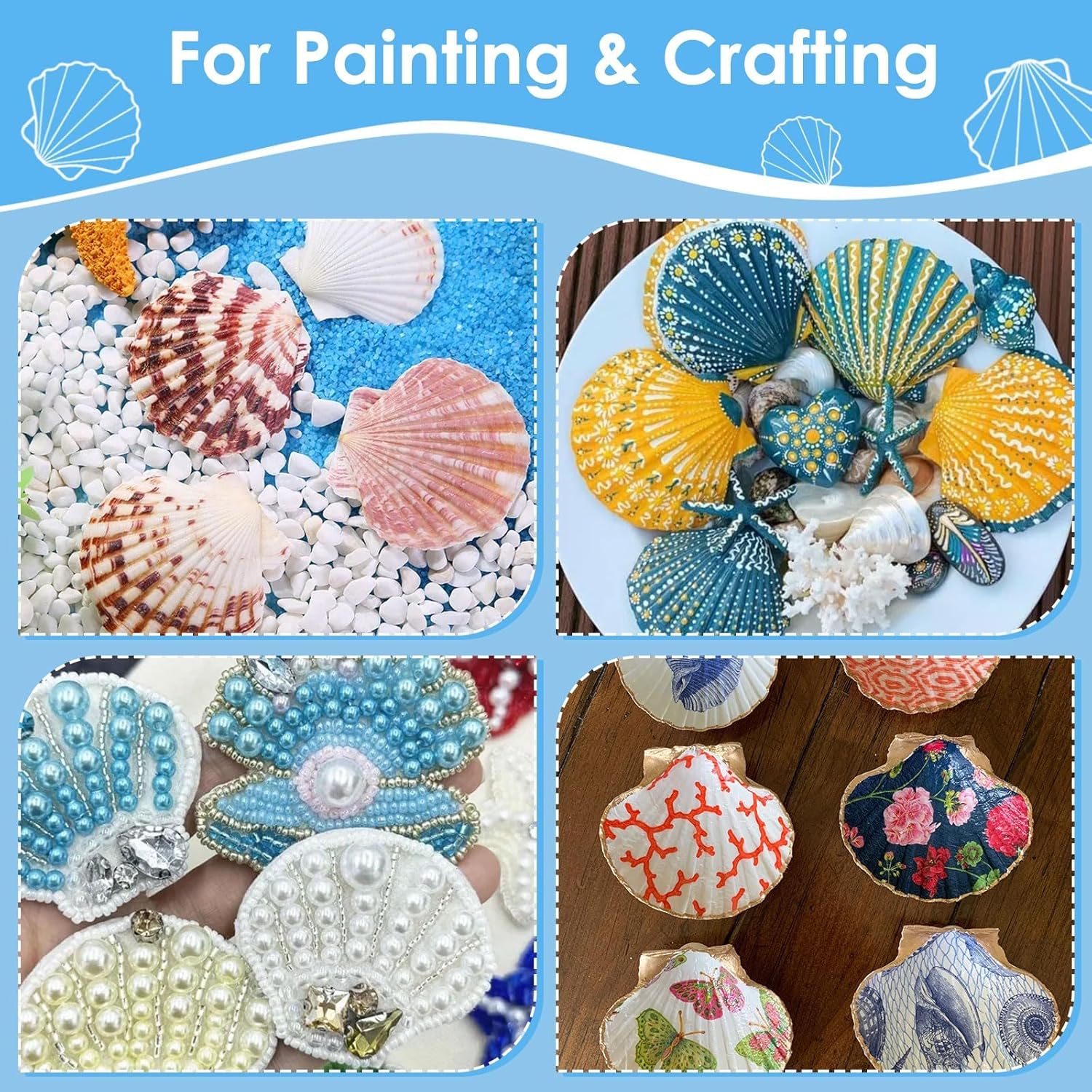 60PCS Large Scallop Shells for Crafts 4-4.3 inch Clam Shells for Decoupage Beach Natural White Seashells Bulk from Sea Beach for DIY Crafts Decorating Painting Crafting Home Wedding Decor