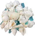 Tumbler Home White Sea Shell Mix with Aqua Sea Glass | Set Contains 1.5 lbs of Seashells and Seaglass | Beach Decor, Crafts, Wedding, Vase Filler