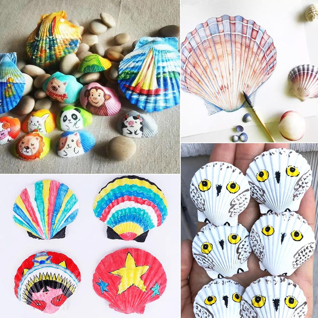 48 PCS Scallop Shells Natural Seashell, 1.5" to 2" White Scallop Shells Small Seashells for Crafts Wedding Decor Beach Theme Party, Fish Tank and Vase Filler