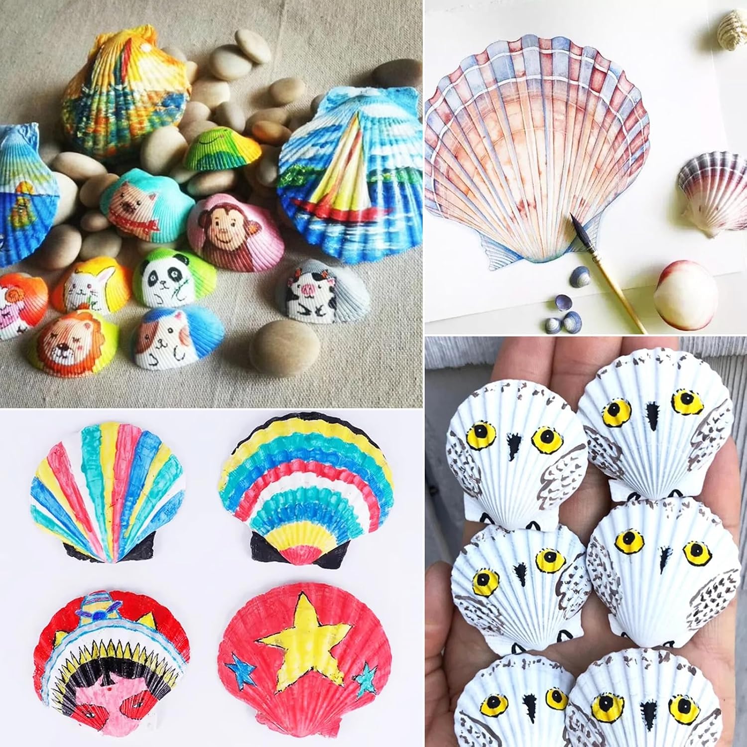 48 PCS Scallop Shells Natural Seashell, 1.5" to 2" White Scallop Shells Small Seashells for Crafts Wedding Decor Beach Theme Party, Fish Tank and Vase Filler