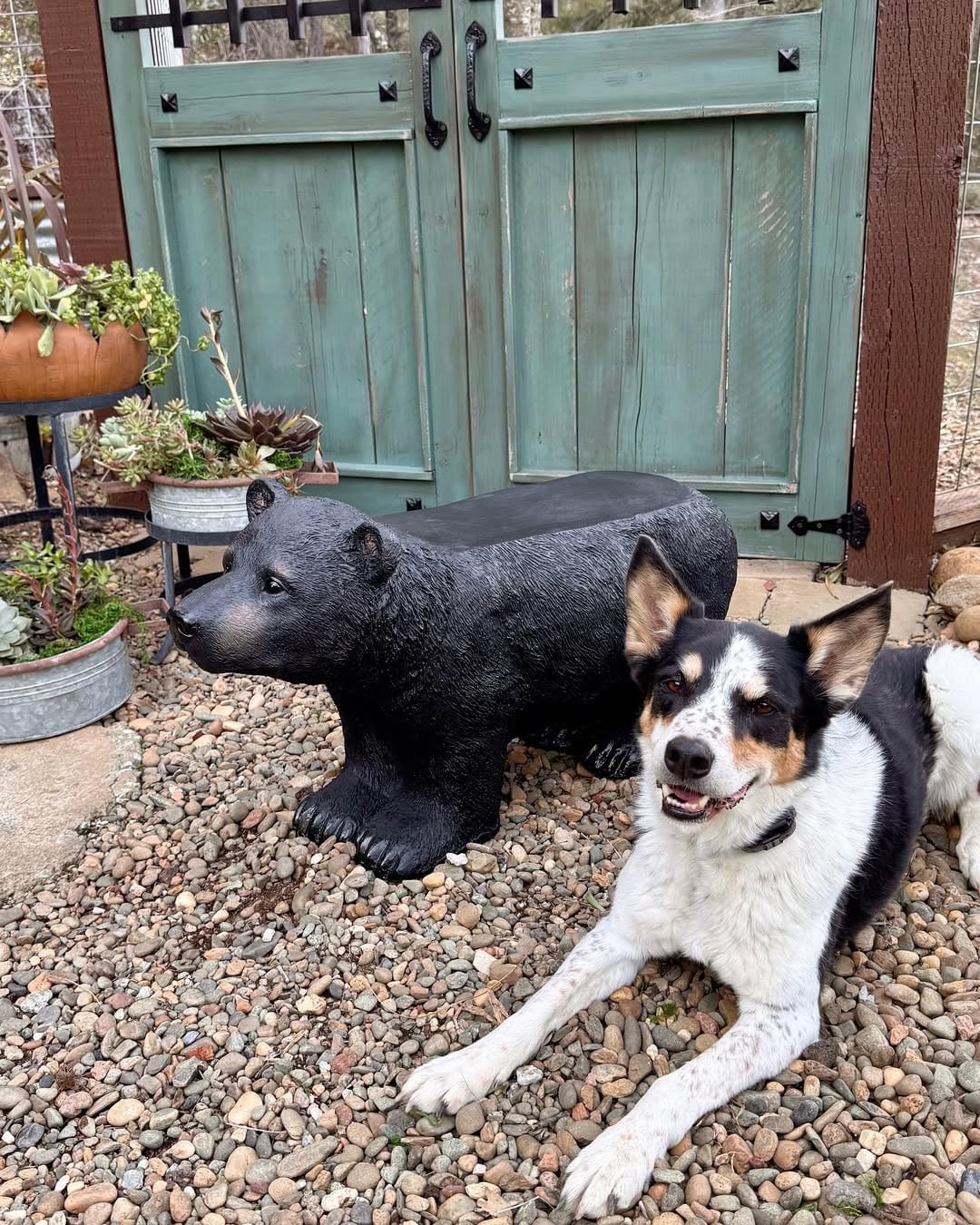 BLACK FOREST DECOR - Black Bear Bench, Forest-Inspired Animal Bench, 33" W x 13" D x 18" H