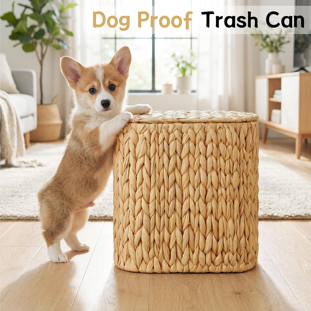 iEGrow 3 Gallon Wicker Trash Can, Bathroom Trash Can with Lid, Narrow Natural Water Hyacinth Waste Basket with Removable Liner, Boho Garbage Can for Bedroom, Office, Small Spaces Living Room, Toilet