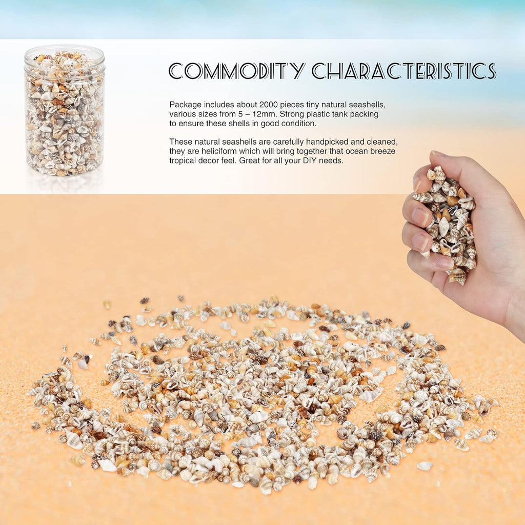 2000 Pcs Tiny Sea Shells for Crafting,Mixed Ocean Beach Mini Seashells Bulk for Home Decorations,Beach Theme Party, Small Shells for Craft, Wedding Decor, Fish Tank Vase Filler(5-12 mm)