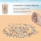 2000 Pcs Tiny Sea Shells for Crafting,Mixed Ocean Beach Mini Seashells Bulk for Home Decorations,Beach Theme Party, Small Shells for Craft, Wedding Decor, Fish Tank Vase Filler(5-12 mm)