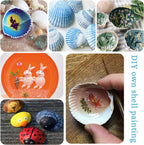 QEQEKAKA 30PCS Sea Shells for Crafts1.5''-2'' White Small Seashells Clam Scallop Shells for Crafting DIY Painting Beaching Wedding Decoration Beach Natural Bulk
