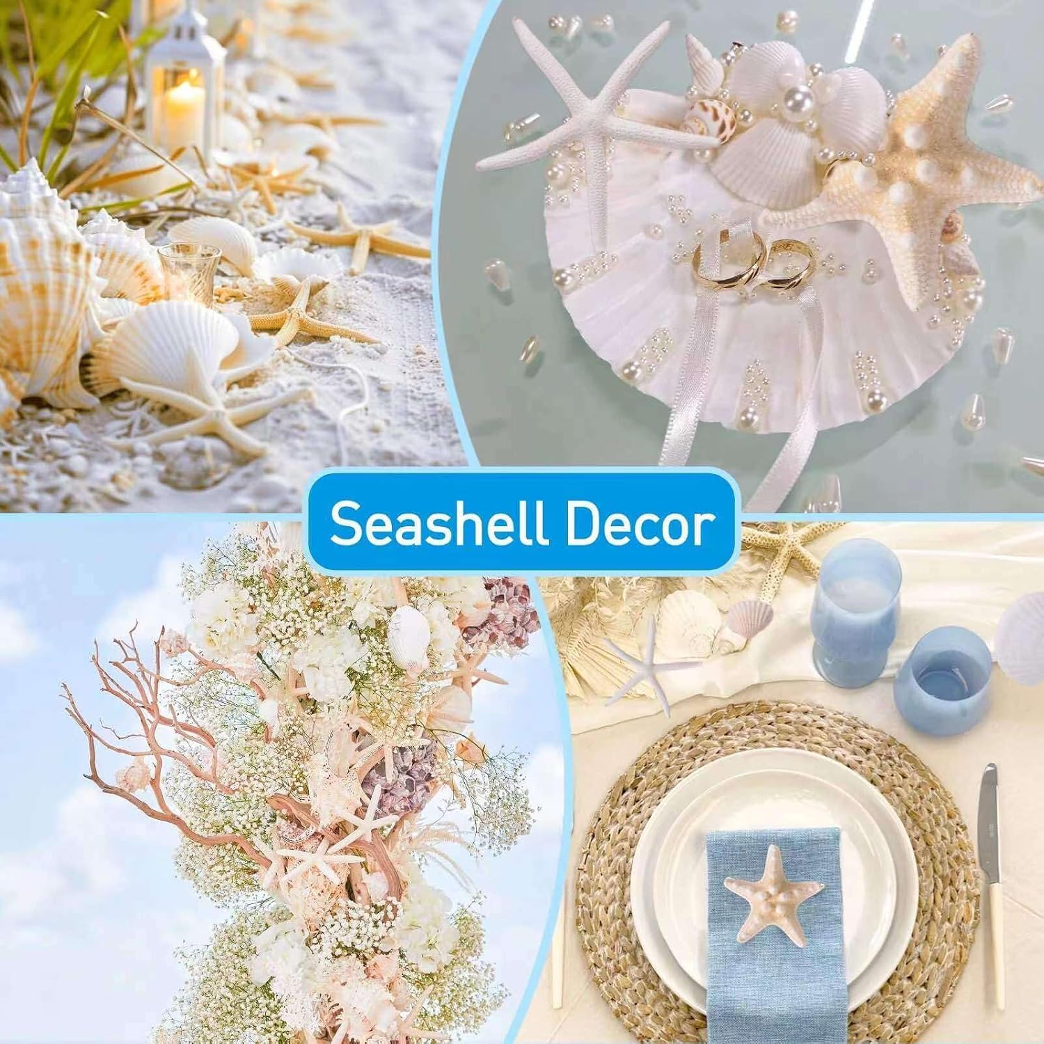 24PCS Sea Shells for Crafts Decoration - Real White Natural 2"-5" Scallop Shells and Starfish Coastal Christmas Craft Supplies, Beach Party, Painting, Easter DIY, Vase,Baking Shells, Birthday Gift
