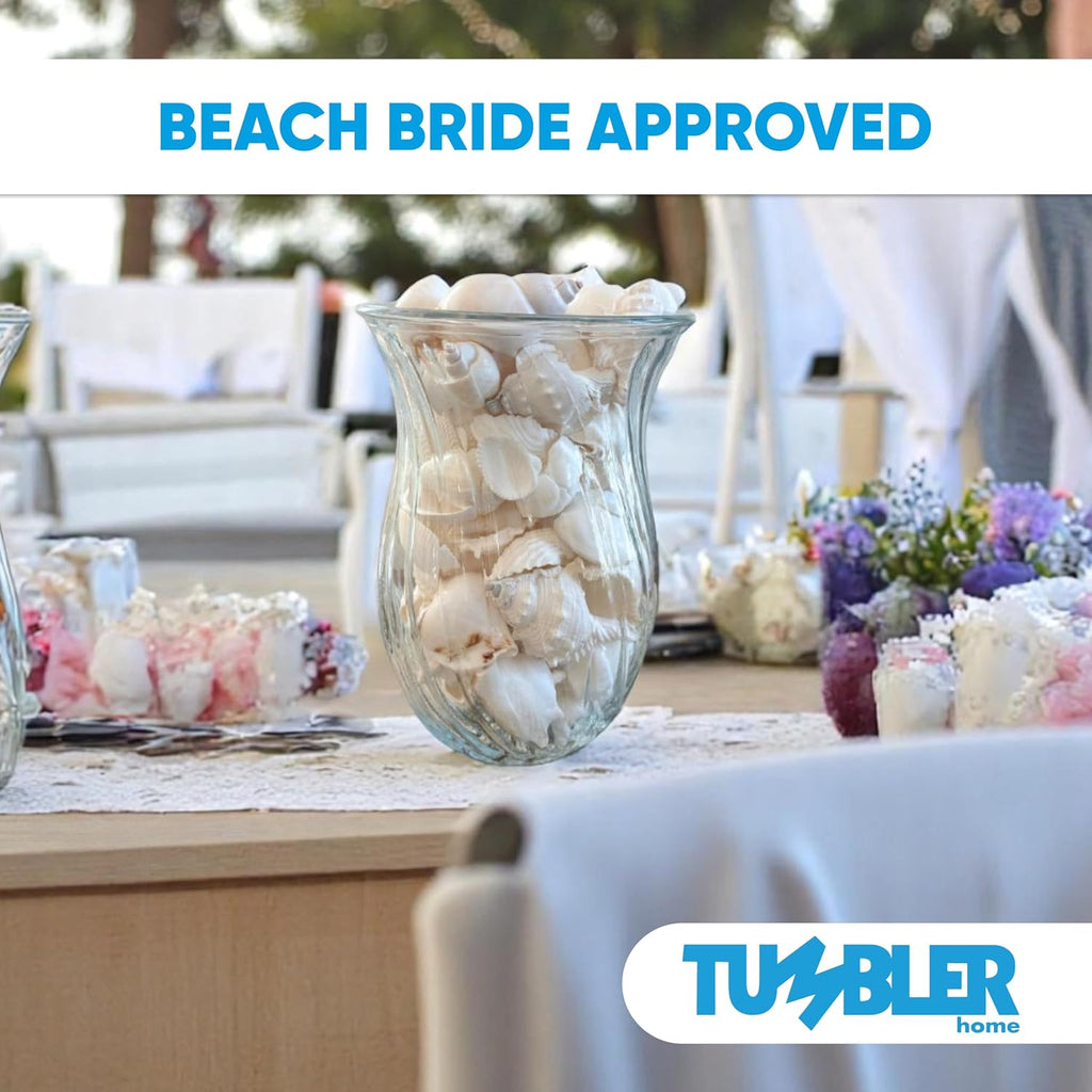 Tumbler Home Mix of White Seashells - Set Includes 1 Pound White Shells up to 3 inches - Home Decor, Vase Filler, Wedding Centerpiece, Christmas, Craft, Candle Making-Sea Shell Mix