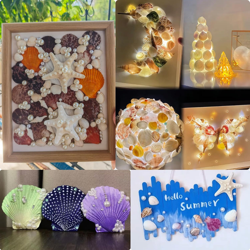 JSPYFITS 2.5-4 Inches Large Starfish and Scallop Shells for Crafts 12PCS, Natural Beach Sea Shells for Crafting, Baking Shells Perfect for White Christmas Decor Beach Party Wedding DIY Crafts