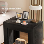 Tribesigns Rustic Wood End Table, 2 Tiered Square Side Table with Storage Shelf, Industrial Sofa Side Table for Living Room, Entrance (2, Black)