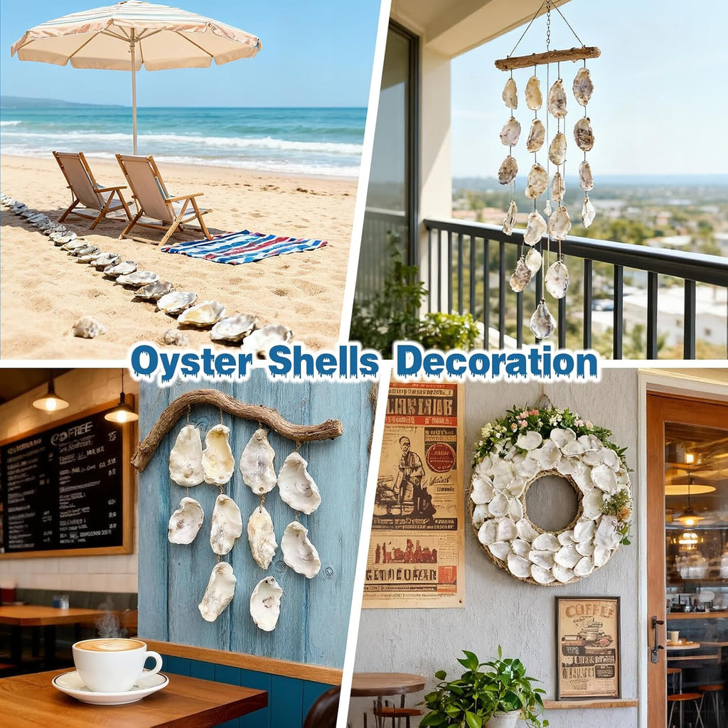 30Pcs 4"-5" Concave Oyster Shells for Crafts Natural Large Oyster Shells for DIY Crafting Christmas Ornaments Decoupage Beach Decor Arts and Bulk Clam Shells Sea Shells for Crafts