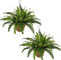 2 Set Artificial Hanging Ferns for Outdoors with Hanging Baskets, UV Resistant Artificial Outdoor Plants, Faux Ferns Outdoor Hanging Basket for Front Porch Garden