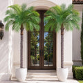 6ft Artificial Phoenix Palm Tree, Faux Coconut Silk Tropical Fake Palm Plant for Indoor Outdoor Home Office Patio Bathroom Pool Coastal Decor(Set of 2)