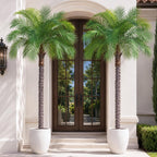 6ft Artificial Phoenix Palm Tree, Faux Coconut Silk Tropical Fake Palm Plant for Indoor Outdoor Home Office Patio Bathroom Pool Coastal Decor(Set of 2)