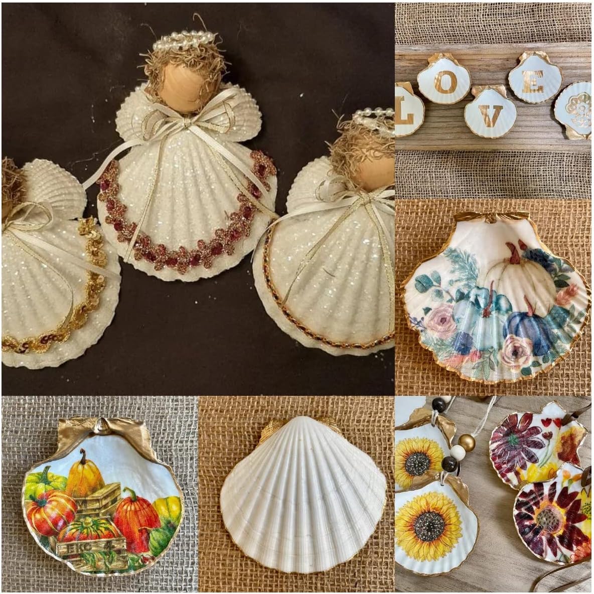 SEAJIAYI 30 PCS Scallop Shells 2-3 Inch Natural White Sea Shells from Sea Beach for DIY Craft Home Décor(6-8 cm)