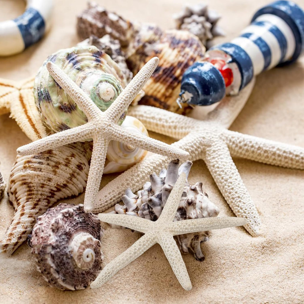 24 PCS Starfish, Mixed Starfish 2" to 3" and 3" to 4" Natural Seashells Starfish White Starfish Ornaments Perfect for Wedding Beach Theme Party Home Decorations, DIY Crafts, Fish Tank