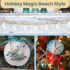 Real Sand Dollars 2.5" to 3" (3 Pack) – Sand Dollar Wall Art & Ornament Set – Beach Wedding Decor – Nautical Party Table Decor – Mini Shells for Crafts – Coastal Gifts