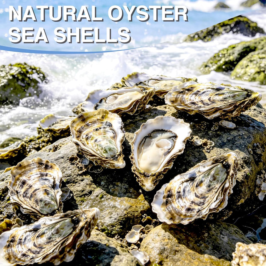 ZYNERY 30PCS Natural Oyster Shells for Crafts, 5"-6" Large Gray Seashells Bulk for DIY Ornaments, Decoupage, Shell Painting, Vase Filler, Beach Decor & Ocean Theme Parties