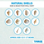 Tumbler Home Medium Sized Shells in a Delightful Mix of Whites, Tans and Pinks | 1 Pound | Perfect for Crafts, Beach Home Decor, Weddings, Vase Filler and Classrooms