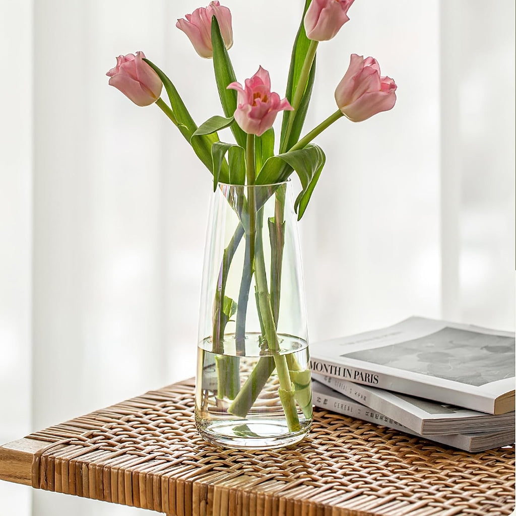 FANTESTICRYAN Modern Glass Vase Crystal Clear Glass Vase for Home Office Decor (Crystal Clear)