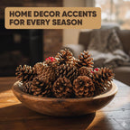 Tumbler Home Pine Cones for Decorating, 15pcs Loblolly Pinecones 2" - 3" Inch Each, Natural Pine Cones for Crafts, Pinecone Ornaments, Christmas Tree & Rustic Home Décor