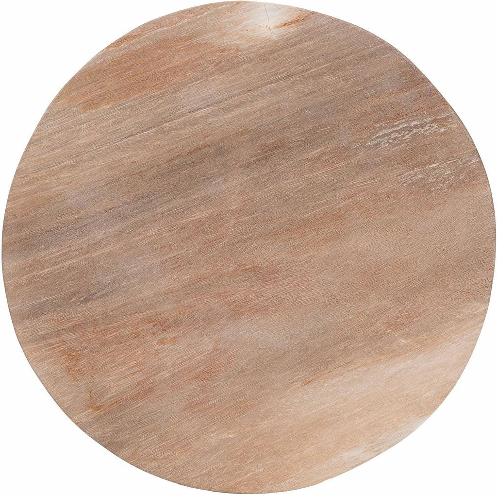 Bali & pari Ziva End Table with Petrified Wood Top - Pedestal Accent Side Table for Living Room or Entryway