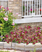 6 Pc Artificial Plants Outdoor, UV Resistant Artificial Outdoor Plants, Faux Coleus Plants with Stems, Fake Greenery Outdoor Plants for Porch Decor, Patio, Garden, Walkway & Outdoor Planters
