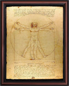 The Vitruvian Man Leonardo Da Vinci, World Famous Wall Art Collection, Fine Art Drawing, Framed Medical Posters for Your Medical Office Decor, Proportions of The Human Figure Drawing, 2453W