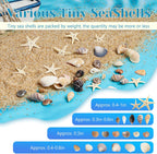 1200 Pieces Tiny Sea Shells Small Natural Starfish Mixed Ocean Beach Spiral Seashells for Home Decorations,Wedding Decor,Candle Making,Beach Theme Party,DIY Crafts and Vase Filler