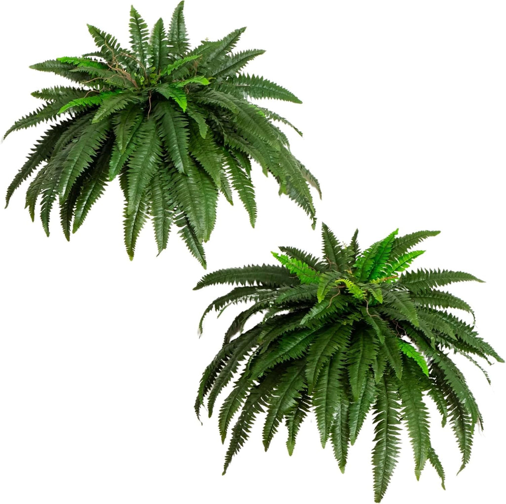 Nearly Natural 48in Boston Fern Artificial Plant, Large Hanging Fake Plant with 67 Long Realistic Fronds, Maintenance-Free Faux Fern for Office and Home Décor (Set of 2)