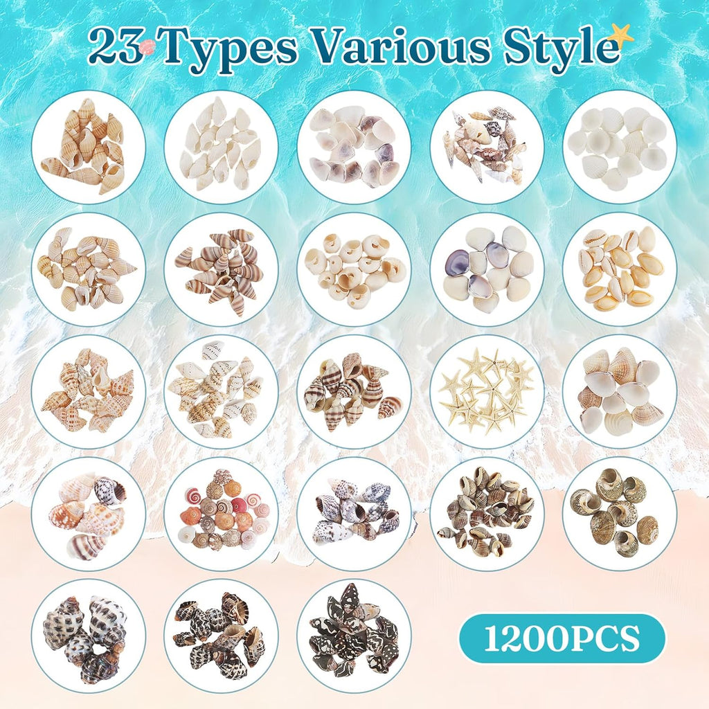 Zefy 23 Types Small Sea Shells for Crafts, 1200 Pcs Tiny Seashells with Mixed Size Starfish, Mini Shells for Vase Filler Beach Theme Party Home Decor