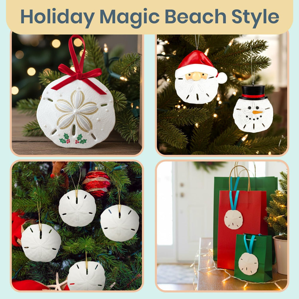 Real Sand Dollars 3" to 3.5" (10 Pack) – Sand Dollar Wall Art & Ornament Set – Beach Wedding Decor – Nautical Party Table Decor – Mini Shells for Crafts – Coastal Gifts