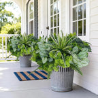 18 Bundles Artificial Greenery for Outdoors, Artificial Outdoor Plants UV Resistant Fake Spider Fern Coleus Plant Faux Bushes Leaves for Outside Window Box Patio Garden Front Porch Yard Summer Decor