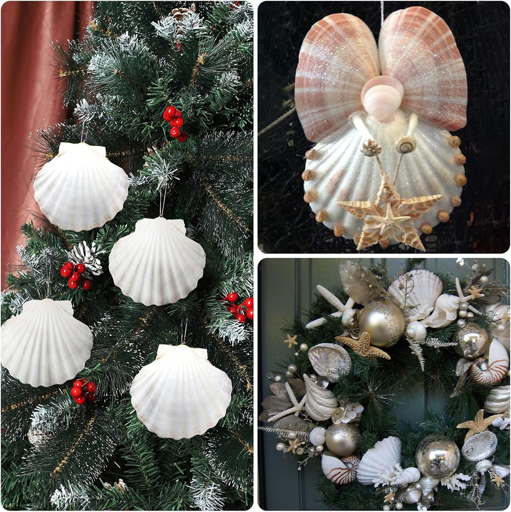 10PCS Large Natural Scallop Shells, 4''-5'' Large Shell for Crafts, DIY Painting, Baking and Beach Wedding Decorations - Large White Seashells Bulk for Ocean Themed Parties and Home Decor