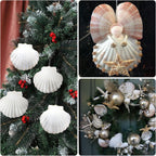 10PCS Large Natural Scallop Shells, 4''-5'' Large Shell for Crafts, DIY Painting, Baking and Beach Wedding Decorations - Large White Seashells Bulk for Ocean Themed Parties and Home Decor
